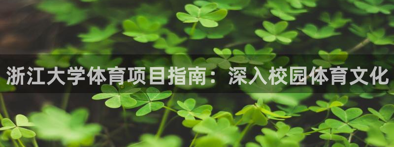 星欧娱乐联售后服务评价
