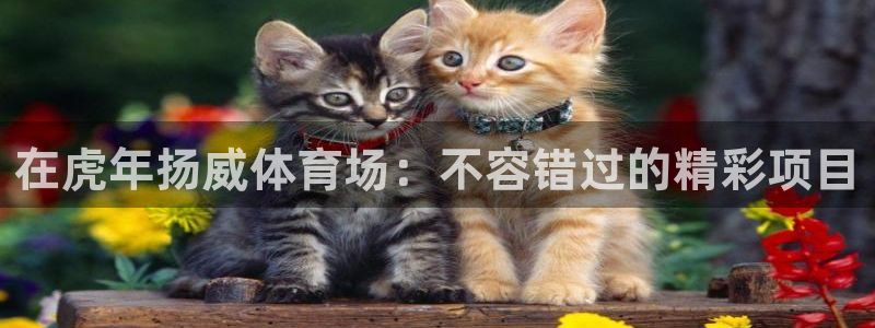 星欧娱乐是正规平台吗