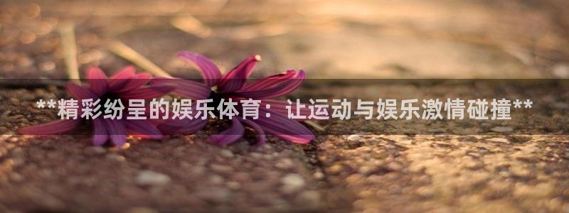 星欧娱乐最建议买的三个产品有哪些内容