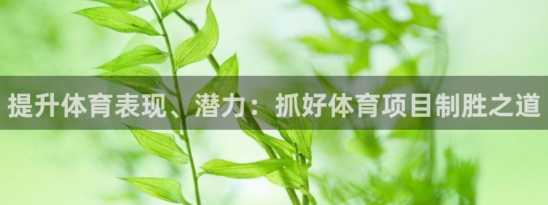 星奥娱乐集团怎么样